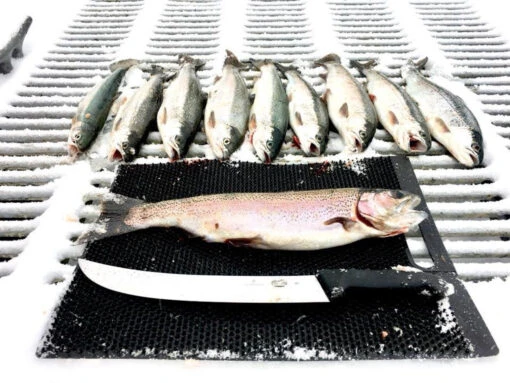 Fillet Away Fish Mat -Deals Fishing Shop 26112476 1667491826651031 9039020572915033783 n 41595.1515767474