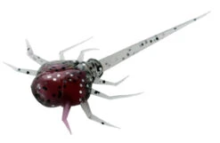 13 Fishing - Coconut Crab - Panfish Plastics -Deals Fishing Shop CC CB 1 Z 11786.1604078623