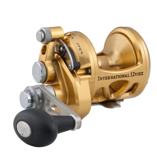 PENN INT16VISX International 16VISX Reel - Gold -Deals Fishing Shop CW72963 14374.1672153001