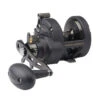 PENN FTHII25NSDP Fathom II Star Drag Conventional Reel -Deals Fishing Shop CW80509 81889.1672152369