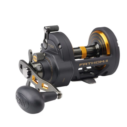 PENN FTHII40SD Fathom II Star Drag Conventional Reel -Deals Fishing Shop CW80512 02728.1672152372