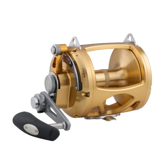 PENN 80 VISW INT80VISW 2-Speed Conventional Reel - Gold -Deals Fishing Shop CW82072 49048.1672153048