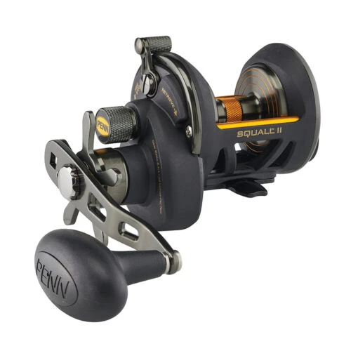 PENN Squall II Star Drag Conventional Reel - SQLII12SD -Deals Fishing Shop CW85467 87734.1672153074