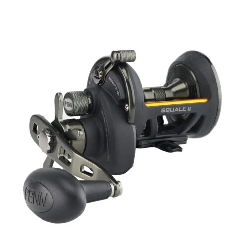 PENN Squall II Star Drag Conventional Reel - SQLII15SDCS -Deals Fishing Shop CW85471 11663.1672153077