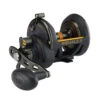 PENN Squall II Star Drag Conventional Reel - SQLII30SD -Deals Fishing Shop CW85475 55582.1672153079