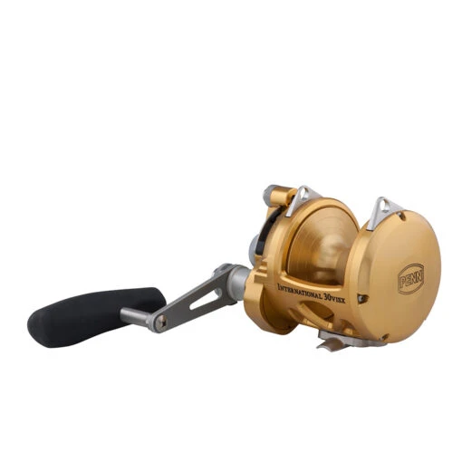 PENN International 30 VISX Reel INT30VISX - Gold -Deals Fishing Shop CW88909 2 27749.1672153178