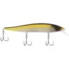 Berkley Stunna MF Tennessee Shad 112M 1/2oz Jerk Bait -Deals Fishing Shop CW89684 39992.1672152496