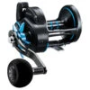 Daiwa Saltist Star Drag Conventional Reel - SALTIST40H -Deals Fishing Shop CW91687 66597.1670968140