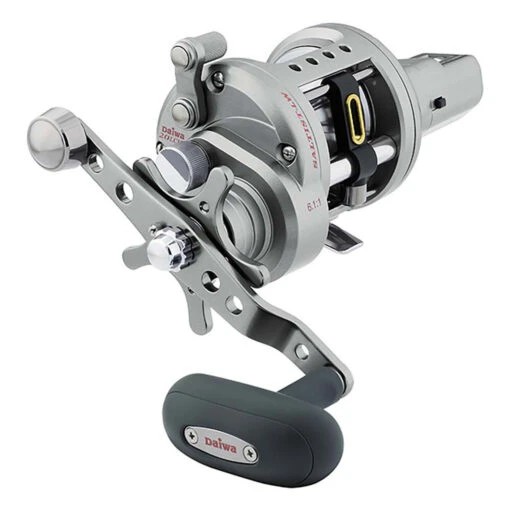 Daiwa Saltist Levelwind Line Counter Conventional Reel - STTLW20LCH -Deals Fishing Shop CW91696 48263.1670968141