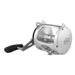 PENN International 80 VISWS INT80VISWS 2-Speed Conventional Reel - Silver -Deals Fishing Shop CW94671 1 10409.1672152672