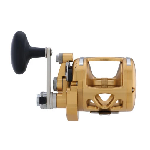 PENN International 16 VIS Reel INT16VIS - Gold -Deals Fishing Shop CW97141 2 46903.1677515326