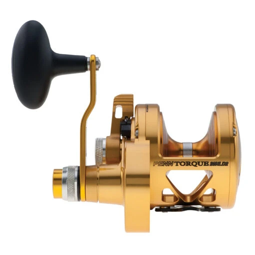 PENN Torque Lever Drag 2 Speed Reel Gold TRQ25NLD2 -Deals Fishing Shop CW97437 2 36995.1672152701