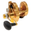 PENN Torque Lever Drag 2 Speed Reel Gold TRQ25NLD2 -Deals Fishing Shop CW97437 66219.1672152700