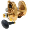 PENN Torque Lever Drag 2 Speed Reel Gold TRQ40NLD2 -Deals Fishing Shop CW97442 85697.1672152710