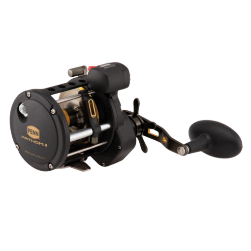 PENN Fathom® II Level Wind - FTHII30LWLC -Deals Fishing Shop FTHII30LWLC1 72167.1655209259