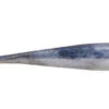 Berkley Gulp Ice - 1 Inch Minnow - GHIMI1-FTHD -Deals Fishing Shop GHIMI1 FTHD 79297.1595434013