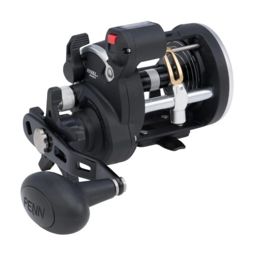 PENN Rival™ Level Wind Reel - RIV20LWLC -Deals Fishing Shop PENN Rival Level Wind 20LC 2017 alt1 52707.1644326837