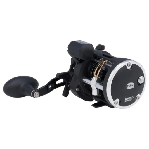 PENN Rival™ Level Wind Reel - RIV20LWLC -Deals Fishing Shop PENN Rival Level Wind 20LC 2017 alt2 86029.1644326840