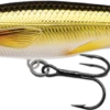 Live Target Rainbow Smelt Jerkbait3 5/8" Shallow Dive -Deals Fishing Shop RS70D208 1000x 10121.1556046538