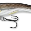 Live Target Rainbow Smelt Banana Bait 4 1/2" Shallow Dive -Deals Fishing Shop RSB 91S 202 1000x 26810.1556043599