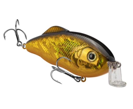 Strike King - Hybrid Hunter Jr Crankbaits - 1/2oz -Deals Fishing Shop hchhjr 406 hybridhunterjr goldblack glamright 81120.1636566004